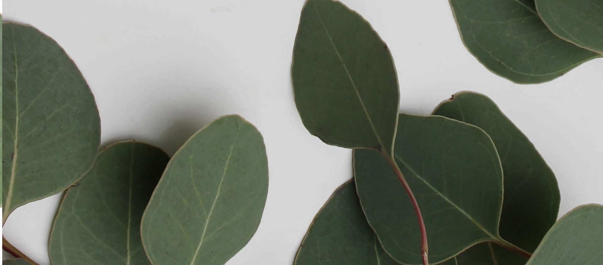 Взыскание ущерба от экологических правонарушений в Донецке